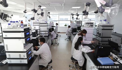 中國生物醫藥產業 破局與自強之路