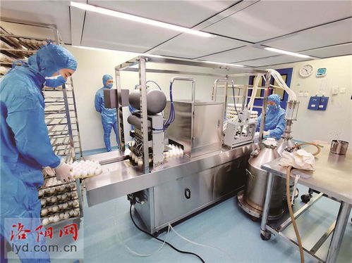 洛陽惠中生物技術 以高端疫苗研發助力畜牧業健康可持續發展
